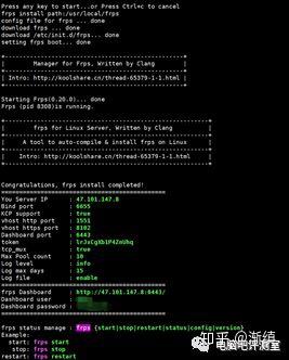 【卖萌科普】内网穿透简单教程插图8 【卖萌科普】内网穿透简单教程插图8