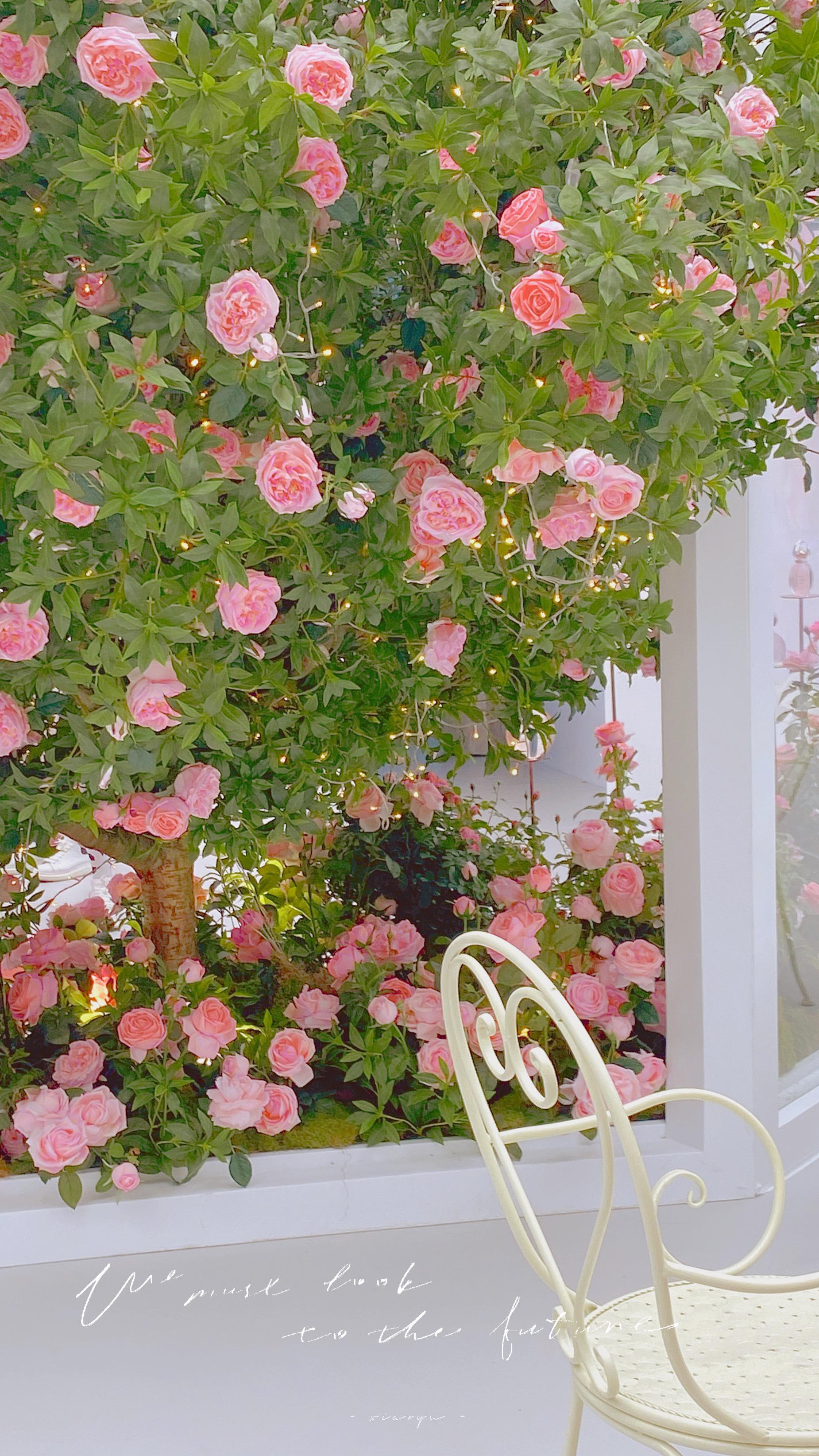 wb:金小鱼_r更多壁纸/头像/表情包在公众号:邮一张壁纸!