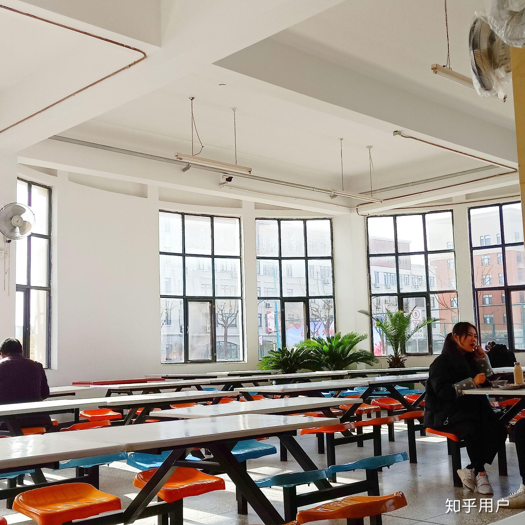 南开大学滨海学院怎么样