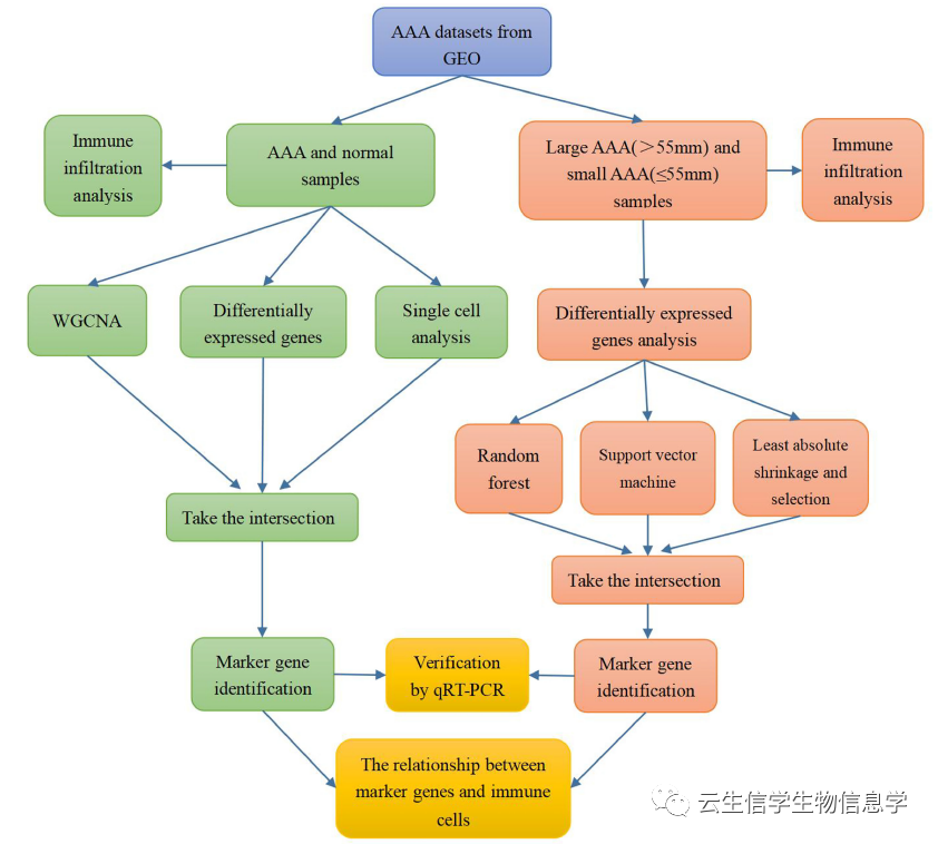 快来看看这篇思路很赞的8分+单细胞生信分析文章,教你如何巧妙分析biomarker,模仿它就对了! - 知乎