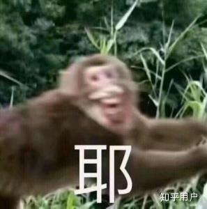 v2-251fbef42d5bebfa13a3083d0d110707_b.jpg