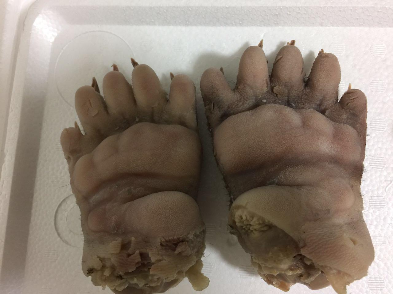 喜欢美食的朋友来日本吃熊掌吧 - 知乎