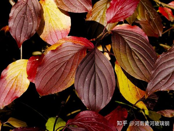 伤心时发的文案短句(那些伤心无助的文案短句)