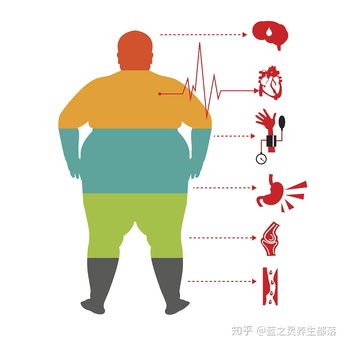 2023版《世界肥胖地图》重磅发布！预计2035年，全球超重/肥胖人群超过40亿_超重_肥胖_医脉通
