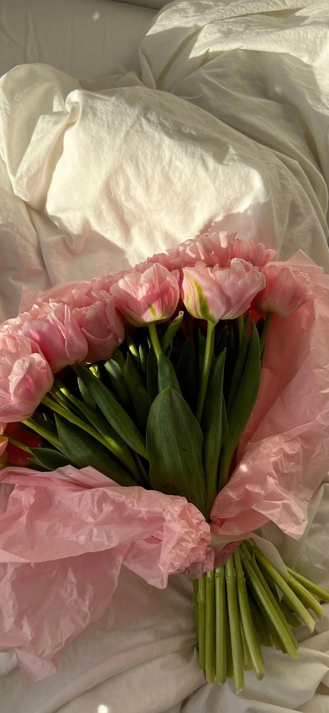 来一组高清无水印的ins风格壁纸 - 知乎