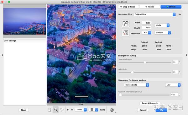 Exposure Software Blow Up 3.1.6.0 for mac instal