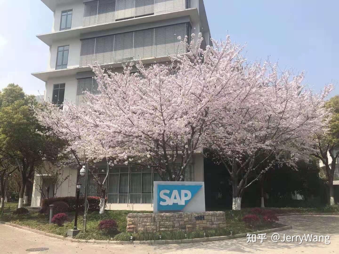 一个 SAP 开发工程师的成长史 - 知乎
