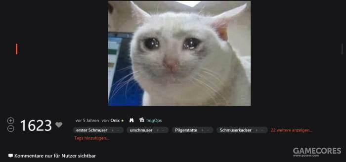 猫朋友英杰传从哭哭猫到流泪猫猫头