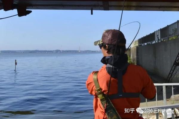 路亚·技能丨琵琶湖当红导钓使用巻物挑战霞ヶ浦水系（中）【永野总一朗】 知乎