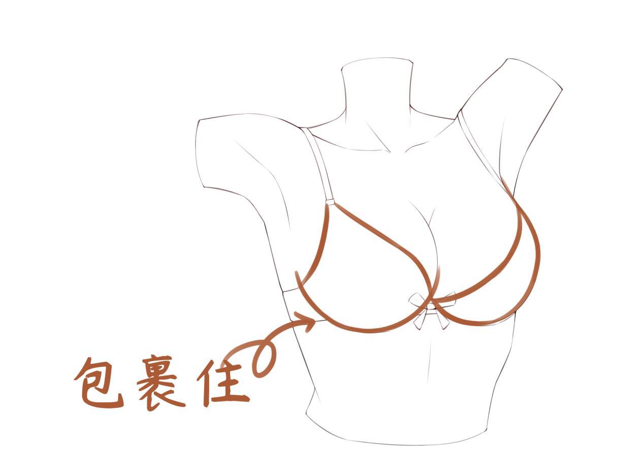 本子画师一般不外传的画欧派秘诀坐好扶稳来解密胸部画法轻微课一看就