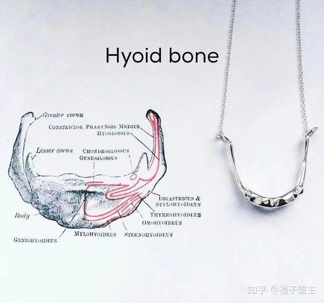 dna紅細胞吊墜這大概就是理科生的浪漫吧