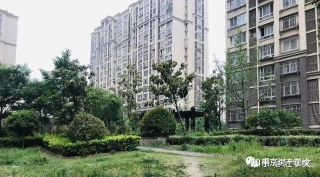 谁敢,不屑一顾!南京最牛安置房全曝光... - 知乎