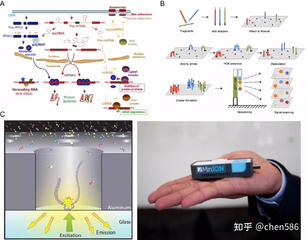 转录组分析的正确姿势你了解了吗？ - 知乎