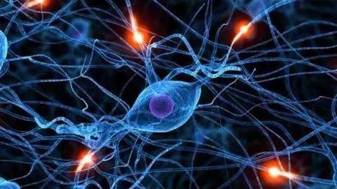 bim案例分析智慧机场二