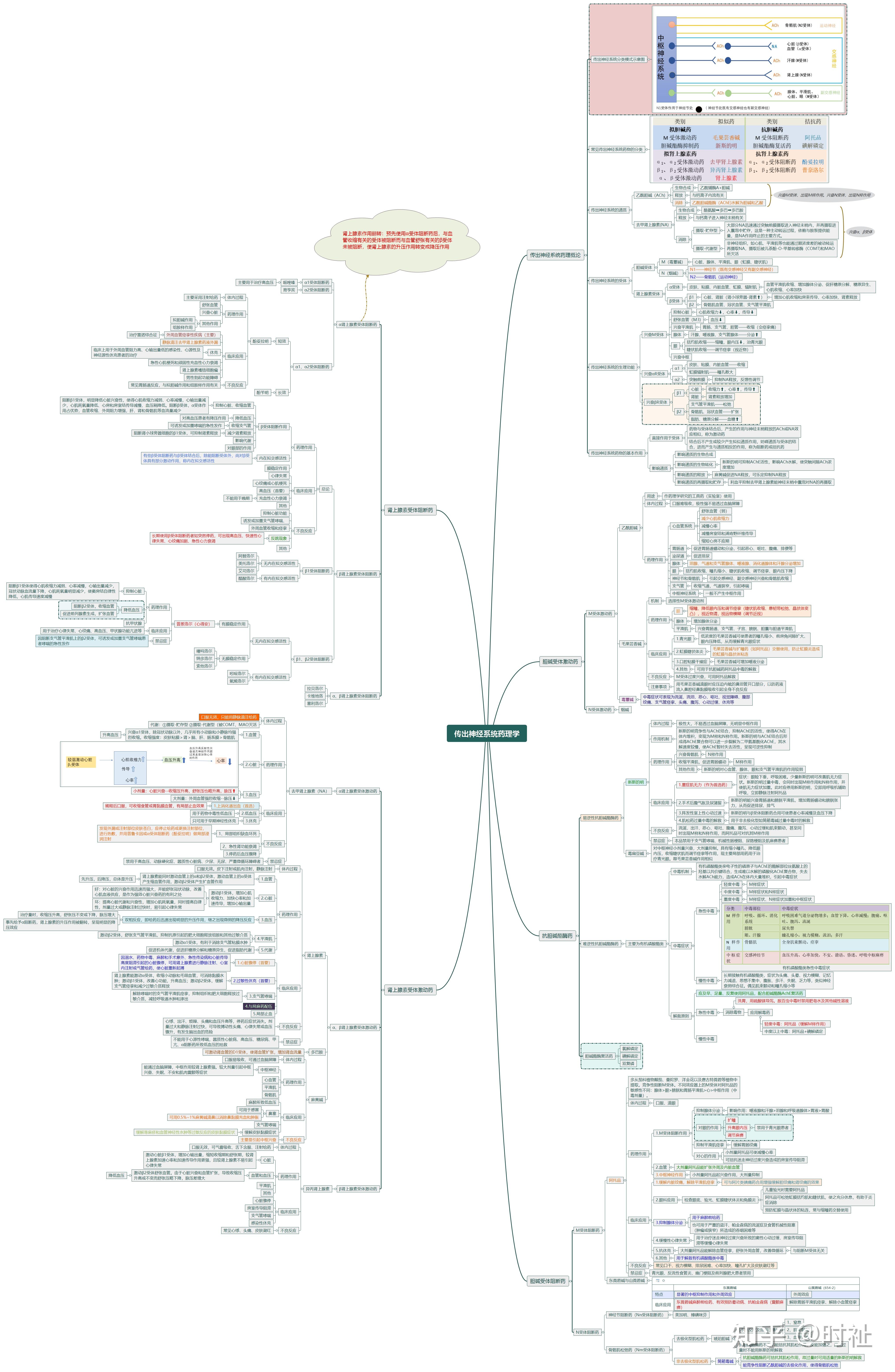 药理学章节思维导图图片