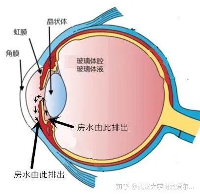 眼睛也怕压力大 专家提示 高眼压比高血压更可怕 压力大眼压高 双偶网