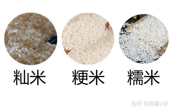 小妖食研录:各地糯米品种大盘点,寻找最优质糯米 - 知乎
