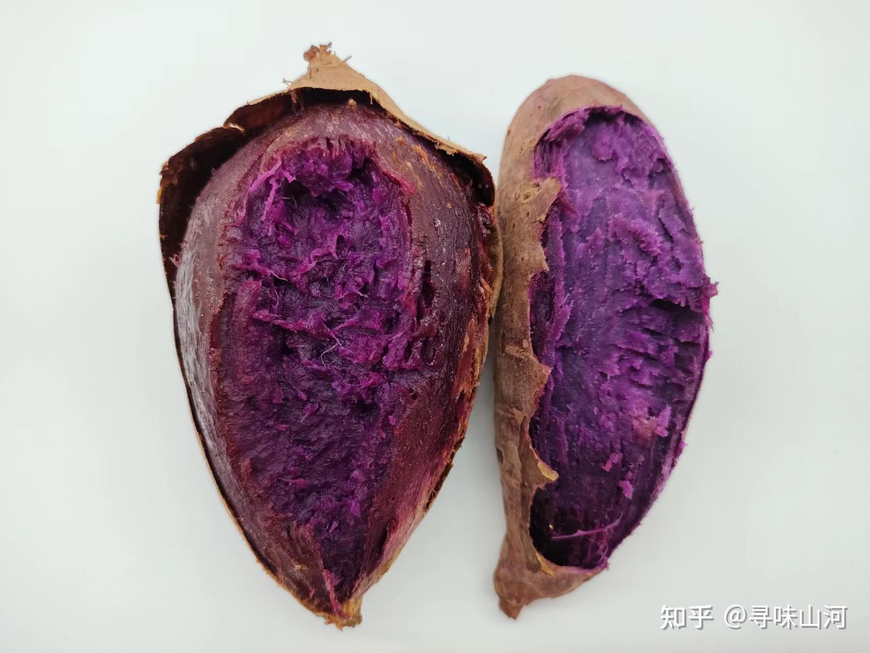 紫芋（種子島ゴールド）コロコロサイズ5kg | 安納芋の通販 たねがしまや