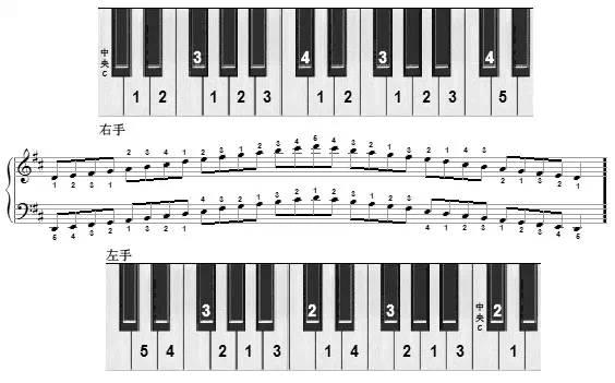 练琴福利 十二大调音阶及左右手指法图解 知乎