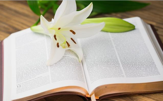 v2-2638d27b95eebd43d1de8c4b8bac6bf8_1440w.jpg?source=172ae18b