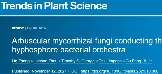 trendsinplantscience中国农大冯固团队综述丛枝菌根真菌调控菌丝际微