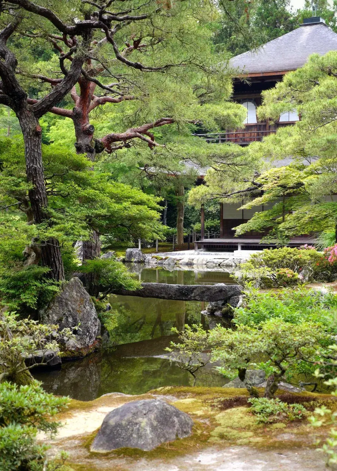 你知道日本园林植物背后的文化吗？ - 知乎