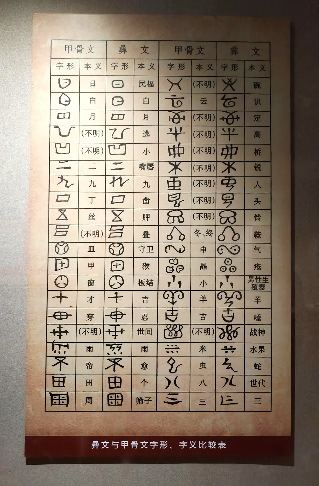彝文与甲骨文字形、字义比较表 - 知乎