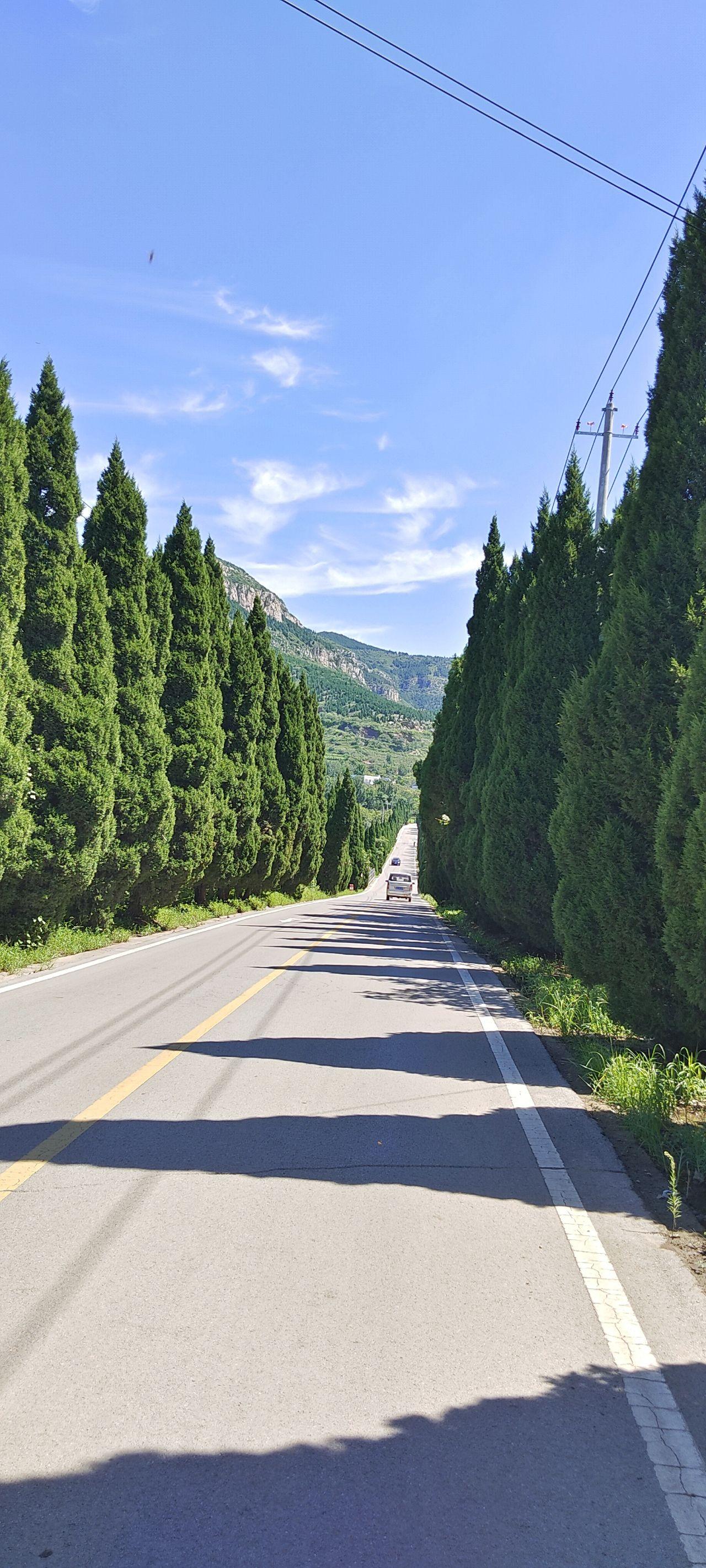 18 西红柿鸡蛋面 把子肉分量是真足晚 18 炒酸奶 鸡肉卷在长清大学城