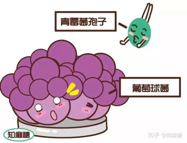 年7月就是这个小明的同学其实青霉素的发现非常的偶然都有可能丧命!