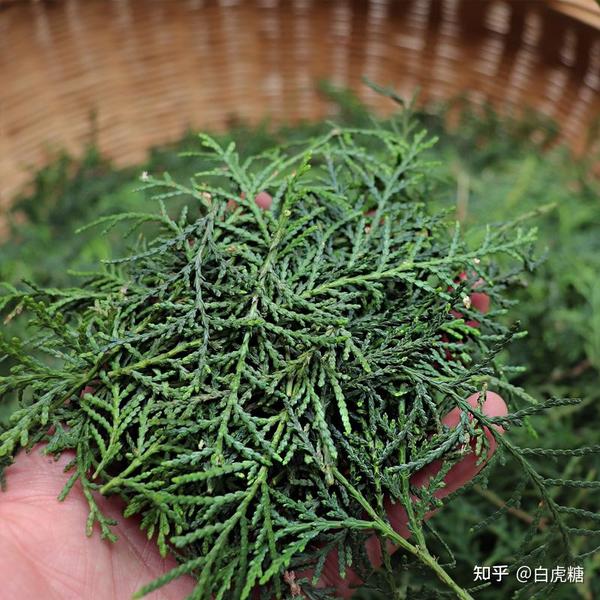 能不能说说你用过最神奇的民间偏方?