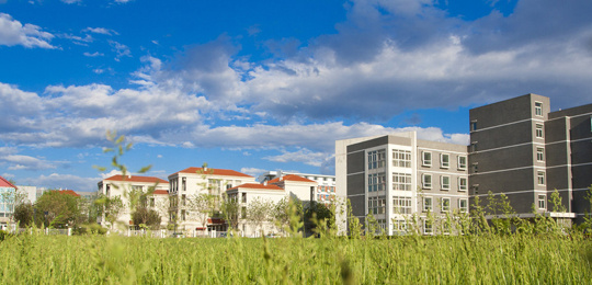 北大软微在北大是怎样的存在?