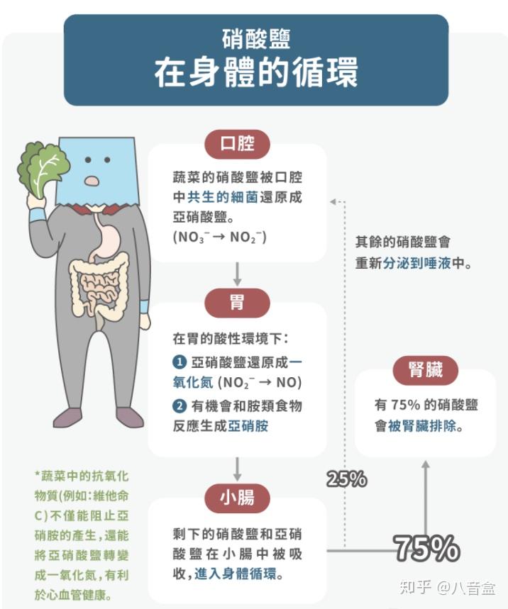 亚硝酸盐恐致癌卤味跟蔬菜都中镖专家完整分析