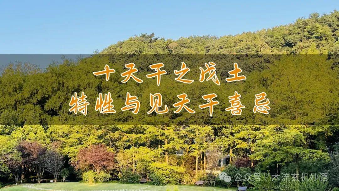 十天干之戊土特性与见天干喜忌 - 知乎