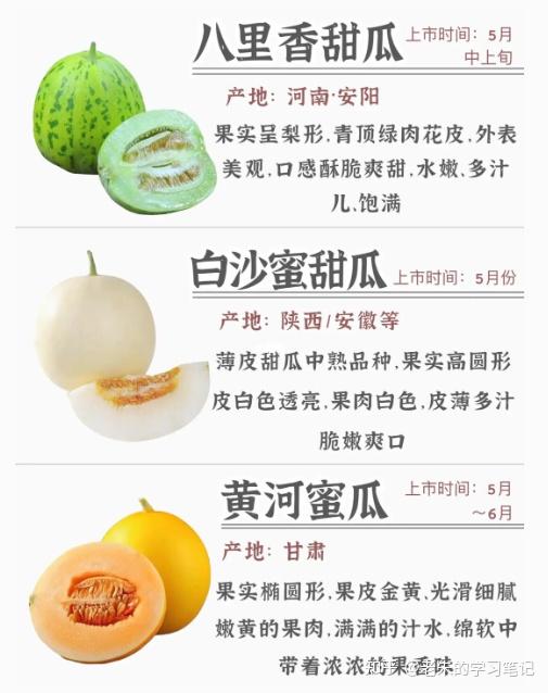 吃瓜啦,甜瓜、香瓜、羊角蜜…瓜瓜分不清楚?哪里的瓜最好吃?最强吃瓜科普来袭! - 知乎