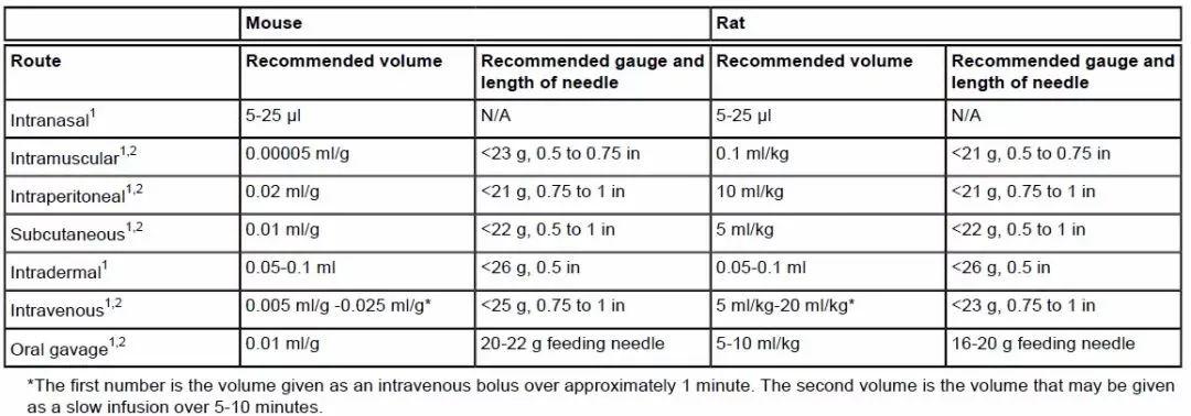 Lab Mouse Dosing 动物实验进阶秘籍,大小鼠给药技巧分享 - 知乎