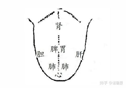 女人口臭舌苔发白_舌苔发黄口臭图片