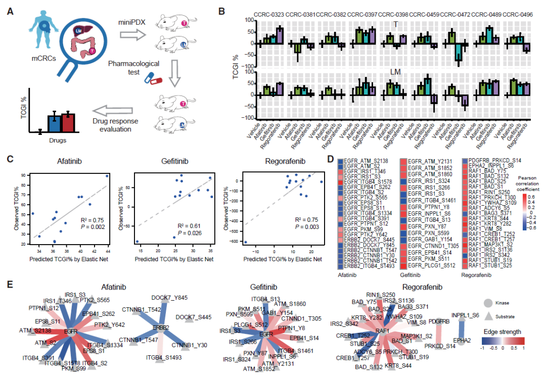 cancer cell我国科学家首次获得转移性大肠癌的多组学数据