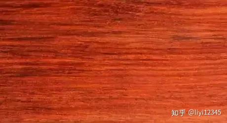 价格相差百倍！这16种