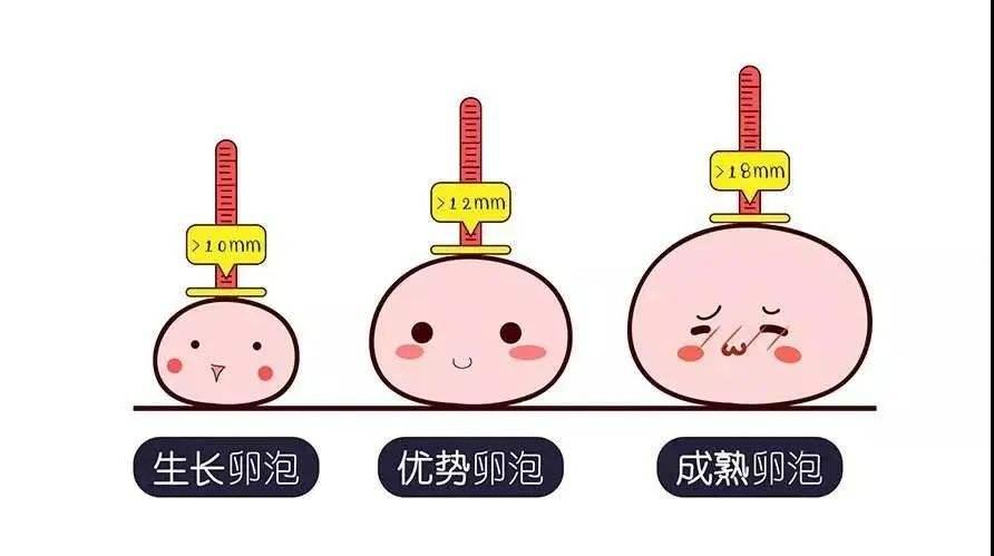 南昌试管婴儿搞错案例