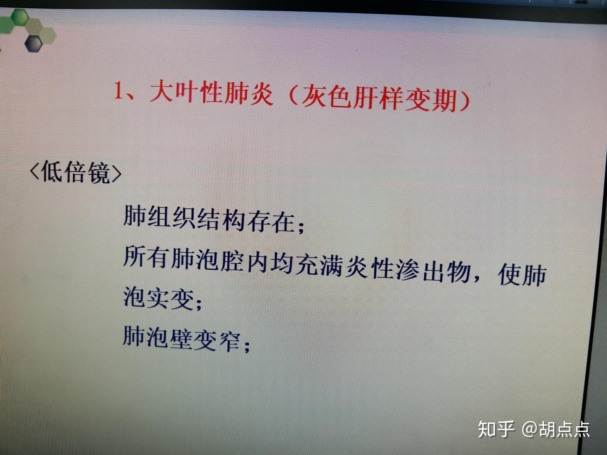 大叶性肺炎小叶性肺炎病理组织切片