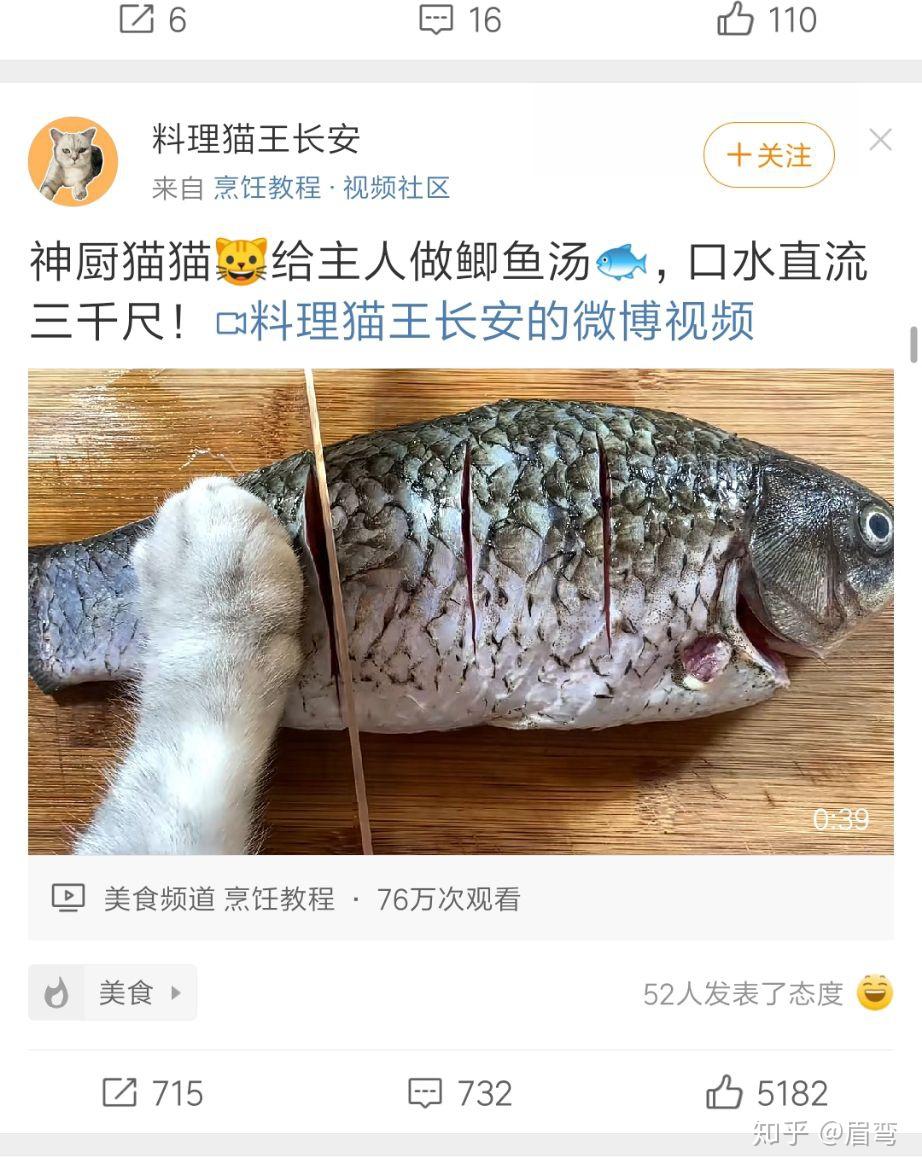 如何评价b站up主料理猫王长安