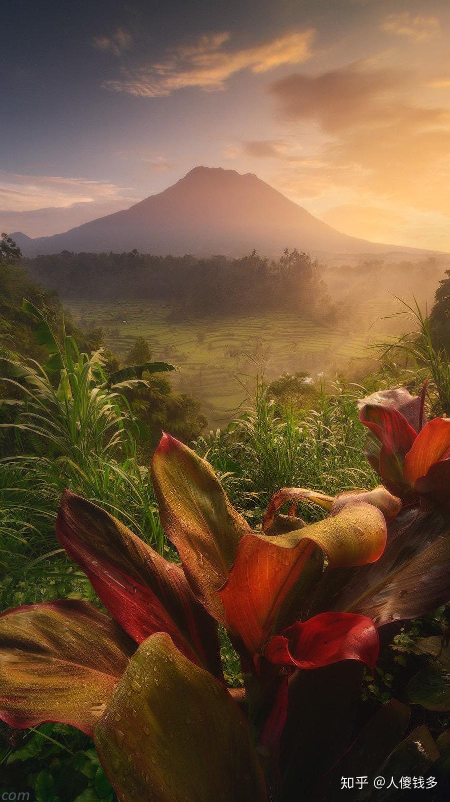 求苹果11promax高质量壁纸无水印