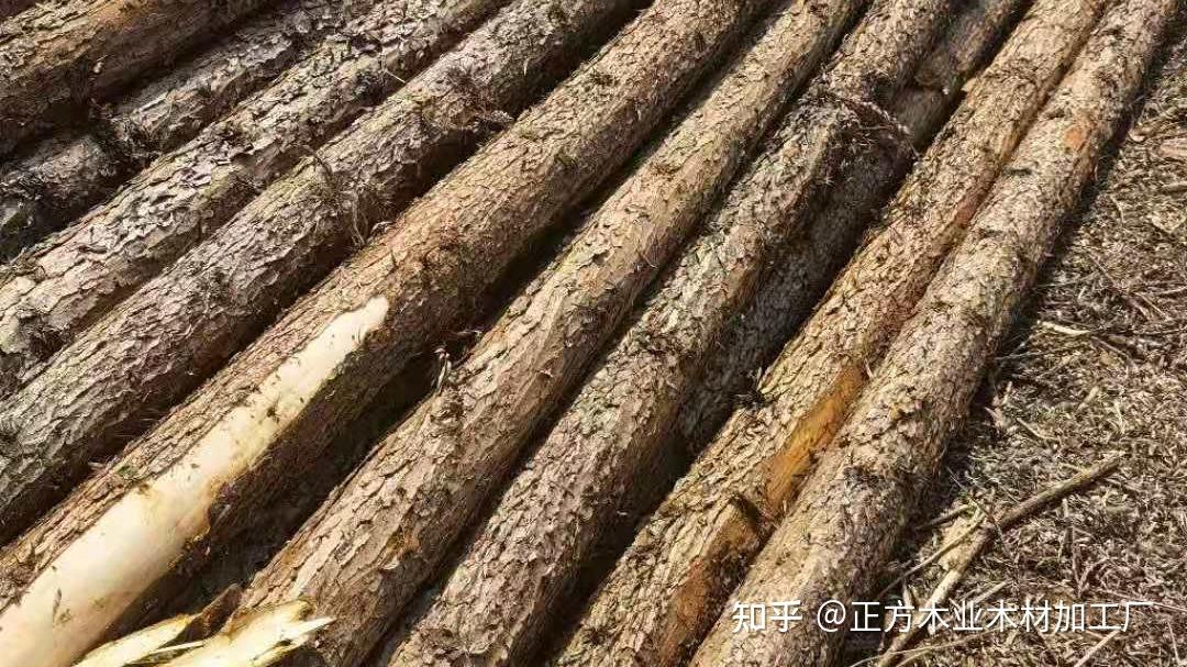 建筑木材价格行情分析表
