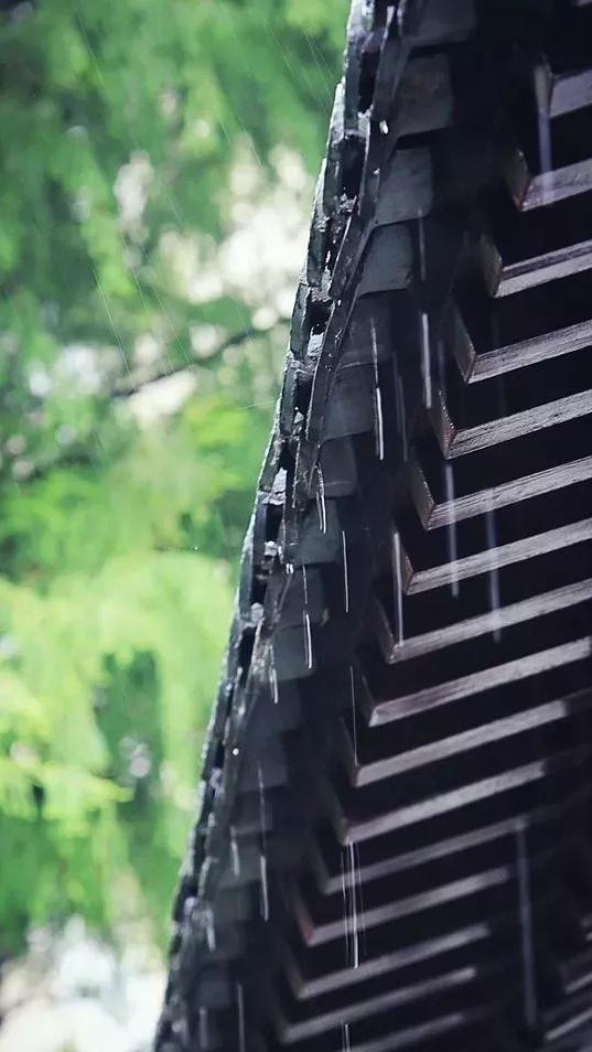 下雨的春天,也是很舒服的呀! - 知乎