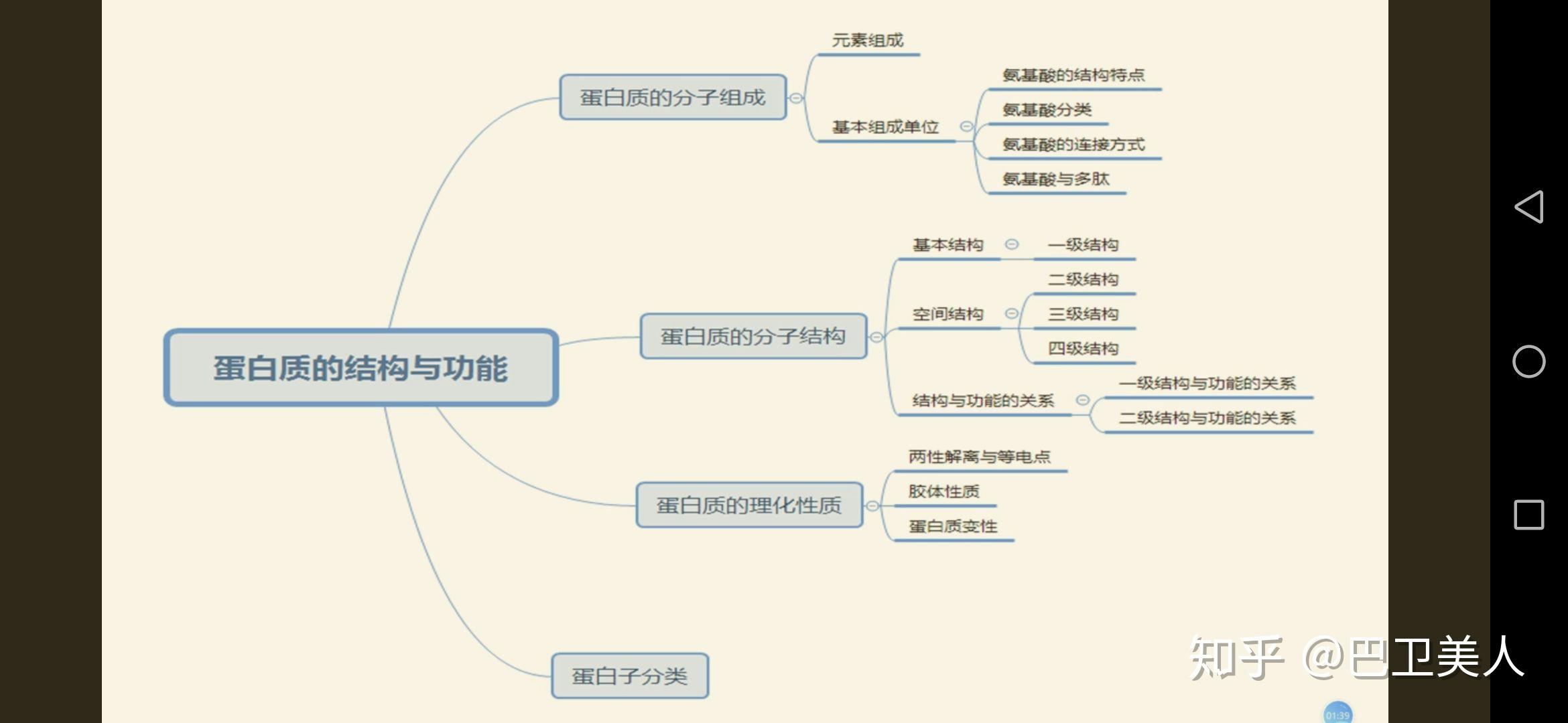 生物化学,思维导图及知识点期末总结 