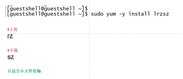 紧跟技术前沿——IOX-XE Guest-shell - 知乎