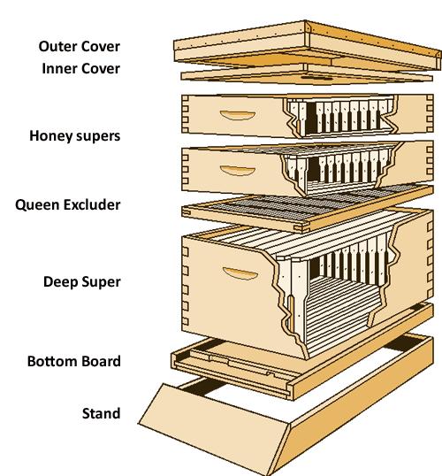 Langstroth bee hive plans pdf