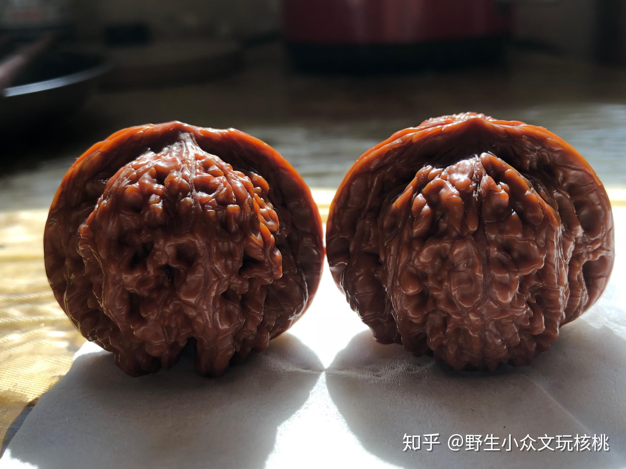 野生龙洞峪老款闷尖狮子头