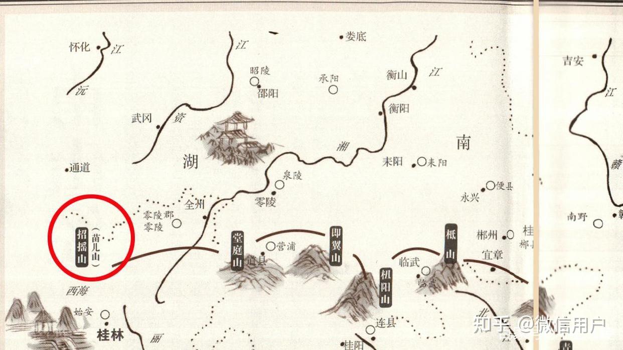 上古神植图鉴(九)迷榖树 - 知乎