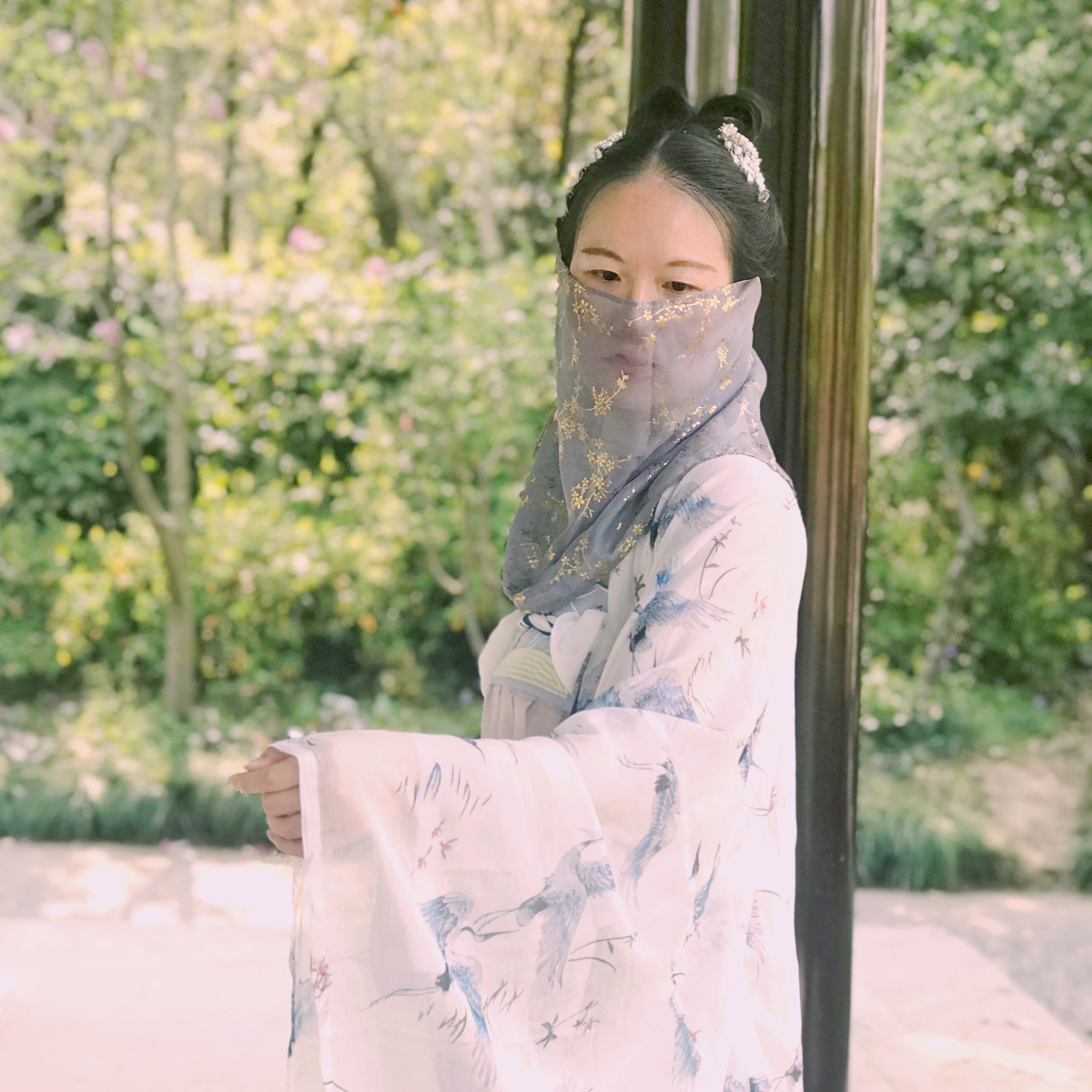 谢家女公子